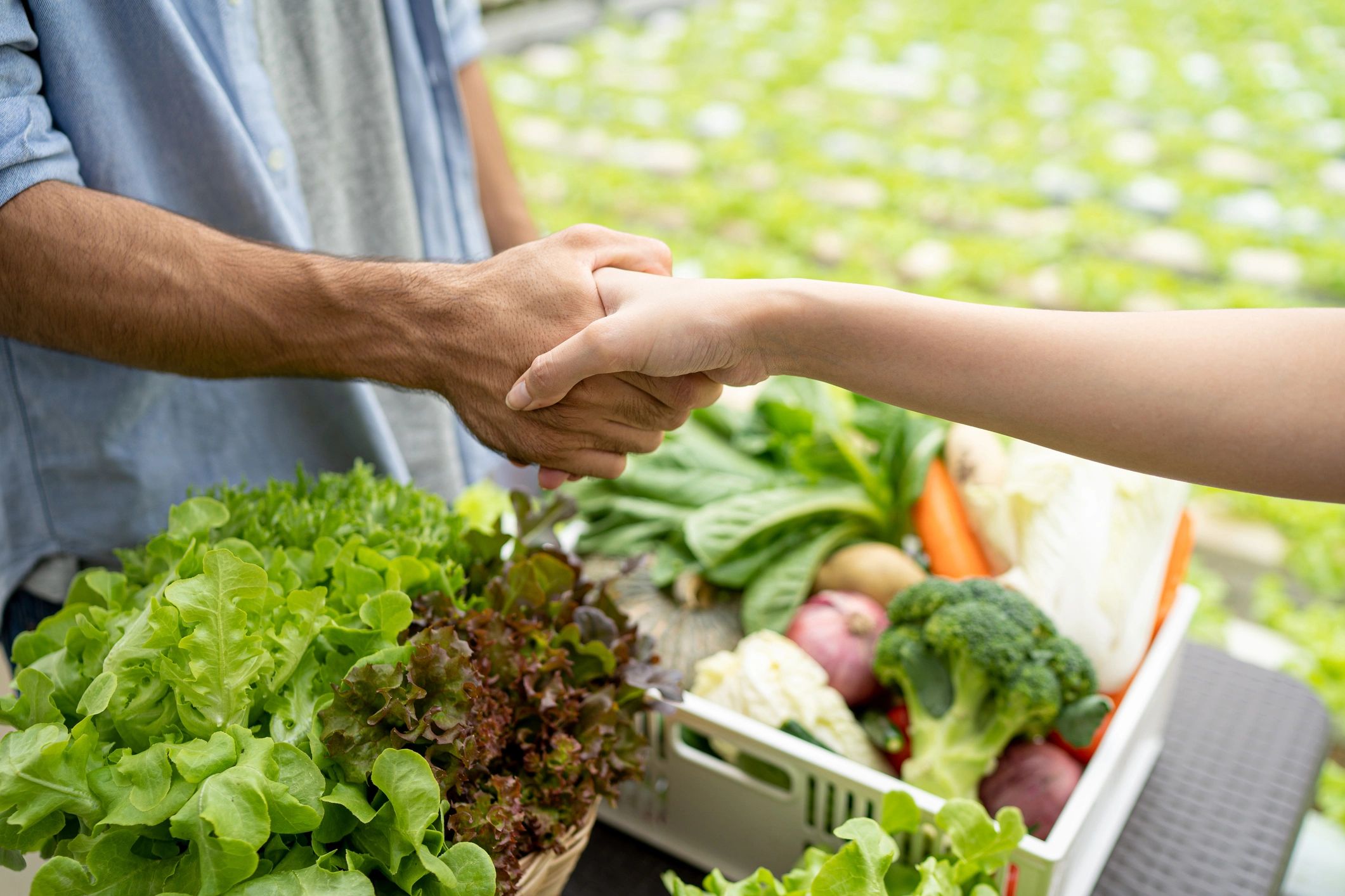 fresh vegetables export