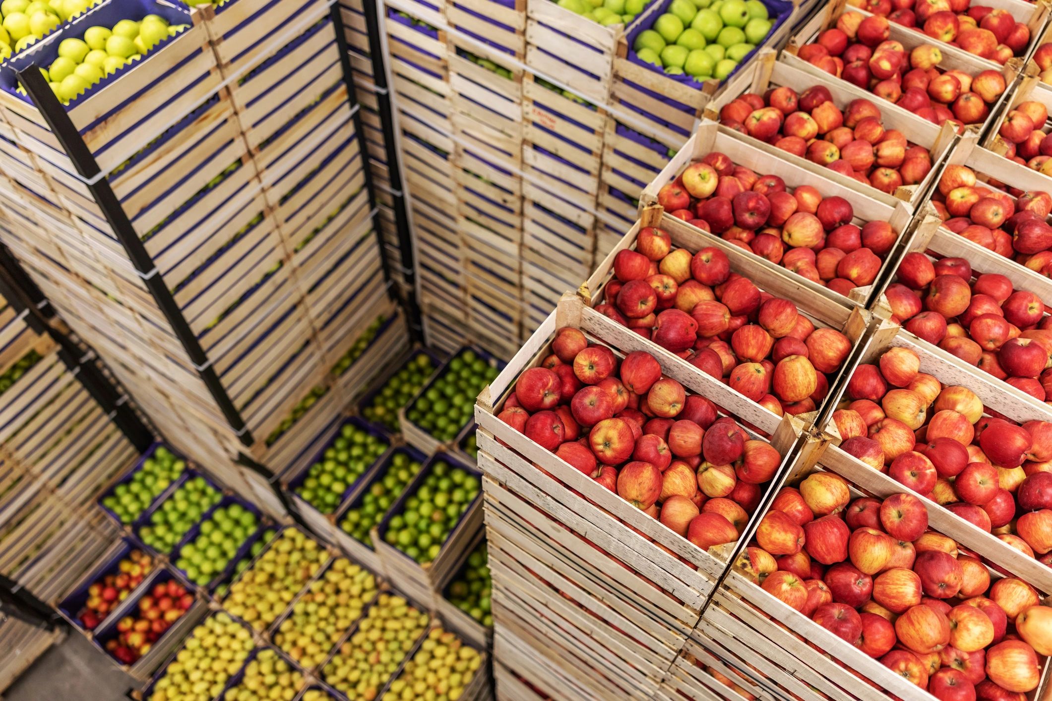 produce logistics export
