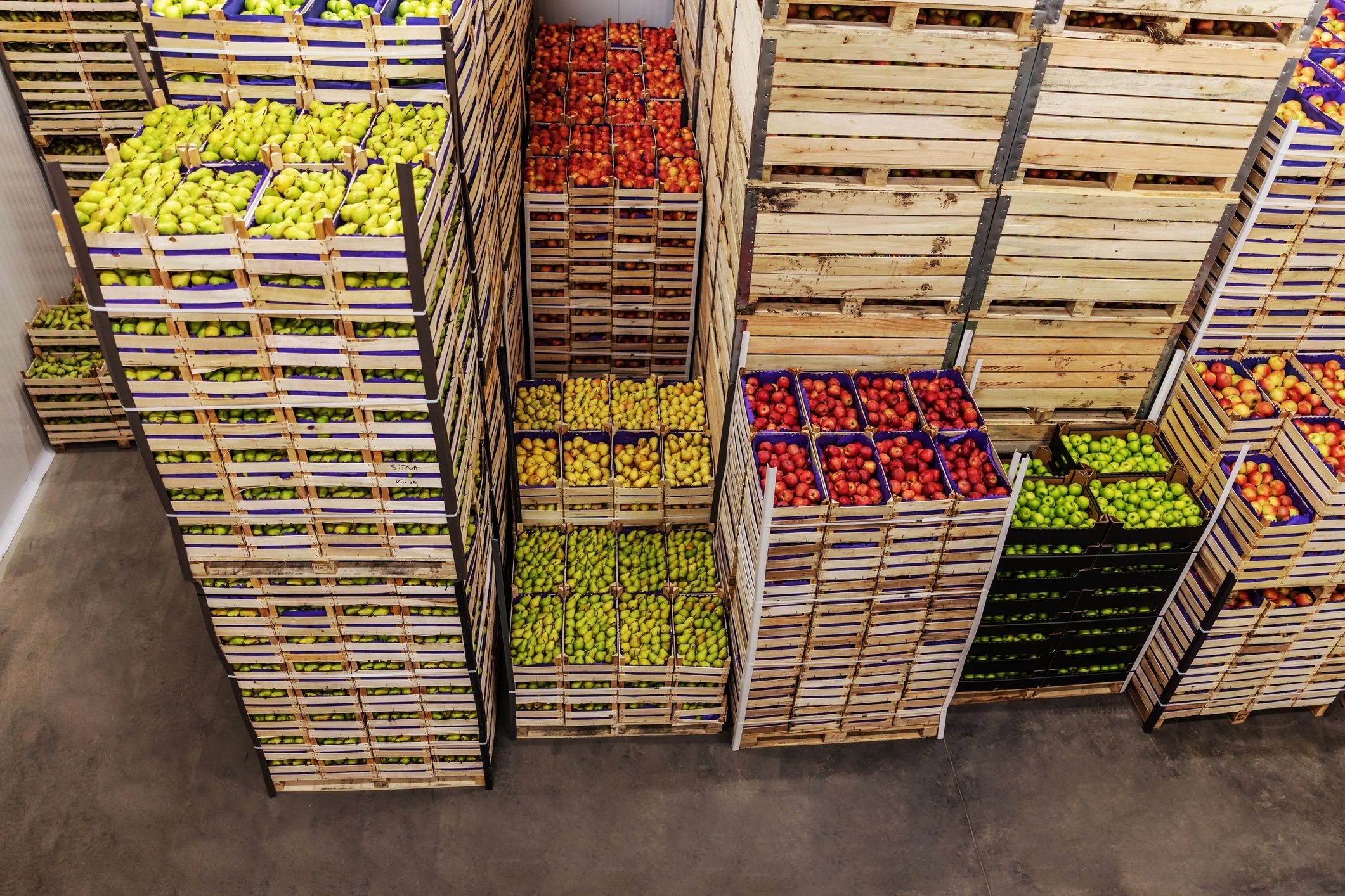 fresh fruit export international
