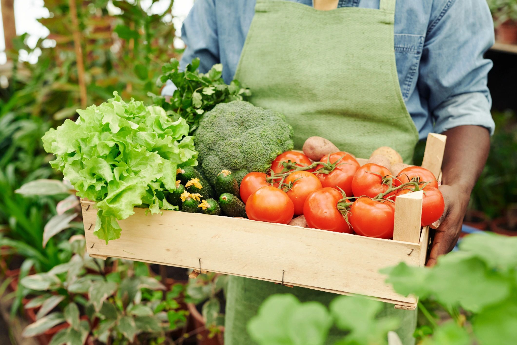 international vegetable export