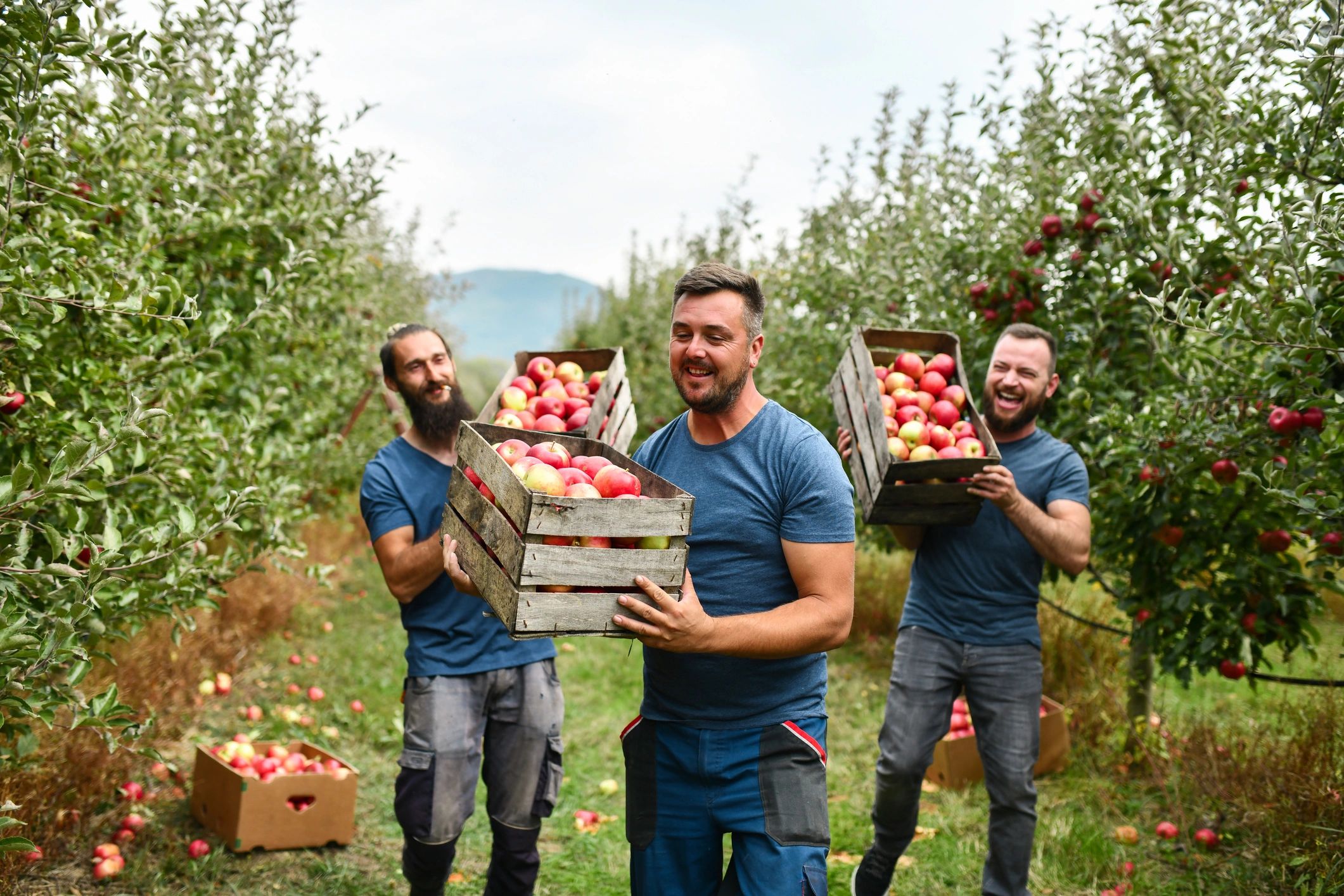 fresh fruit export team