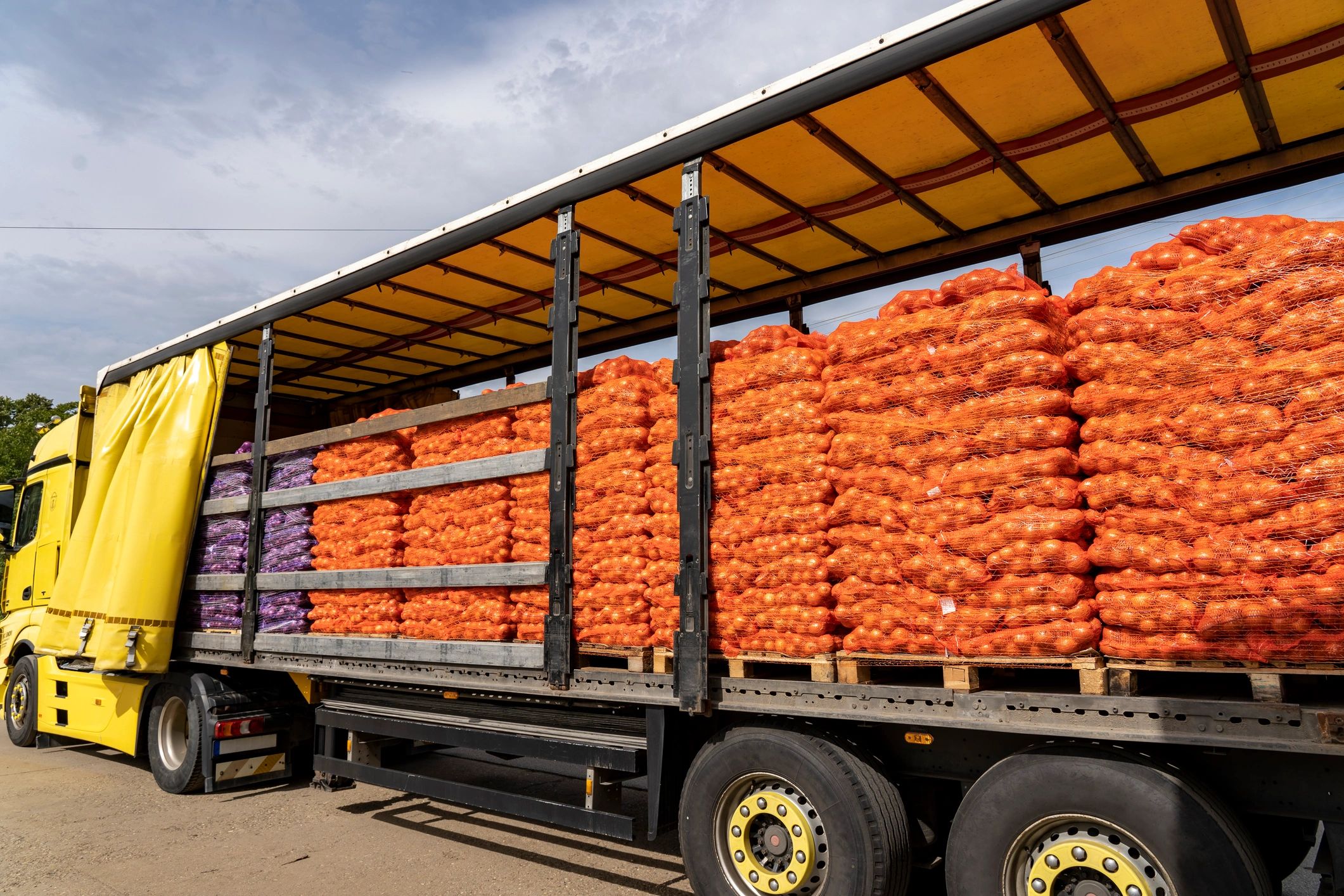 fresh vegetables export international
